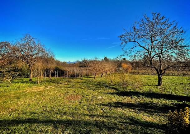 Natura a dicembre