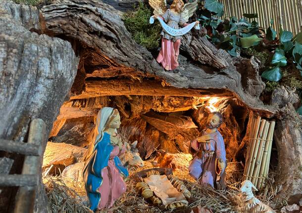 Il Presepe di Gazzada, un piccolo capolavoro della natura nella Chiesa di Santa Croce