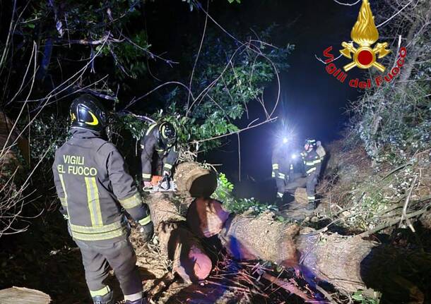 vigili del fuoco vento cadrezzate