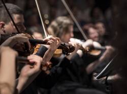 violini orchestra