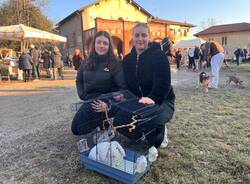 benedizione animali olgiate olona chiesa di sant'antonio abate