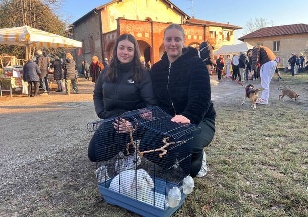 benedizione animali olgiate olona chiesa di sant'antonio abate