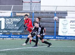 calcio varese albenga