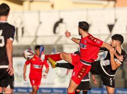 calcio varese albenga