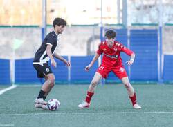 calcio varese albenga