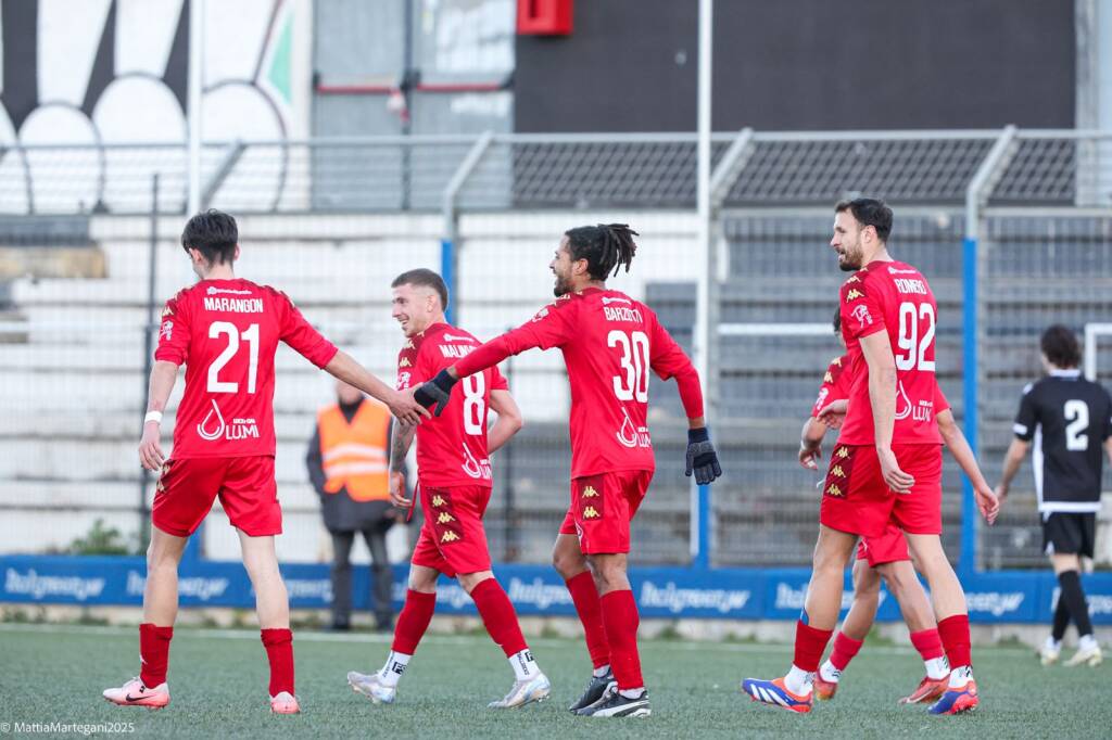 calcio varese albenga