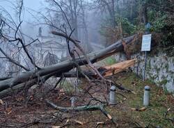 Crolla un albero, Via Sacra bloccata al Sacro Monte di Varese