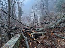 Crolla un albero, Via Sacra bloccata al Sacro Monte di Varese