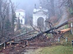 Crolla un albero, Via Sacra bloccata al Sacro Monte di Varese