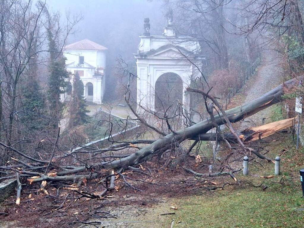 Crolla un albero, Via Sacra bloccata al Sacro Monte di Varese