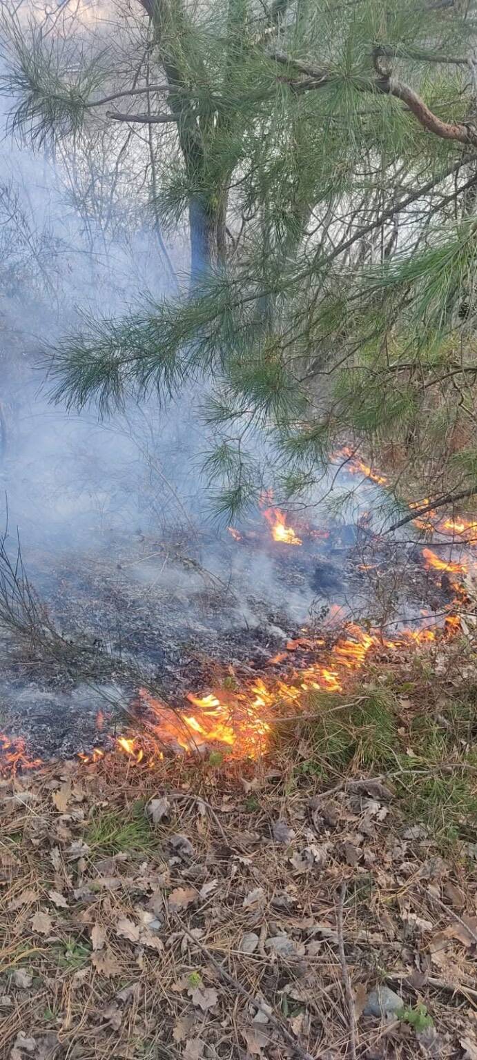 Incendio bosco Vigano 1 gennaio 2025