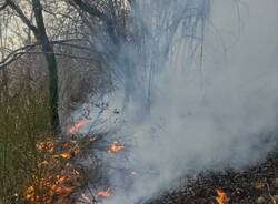 Incendio bosco Vigano 1 gennaio 2025