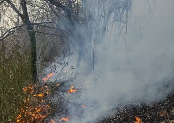 Incendio bosco Vigano 1 gennaio 2025