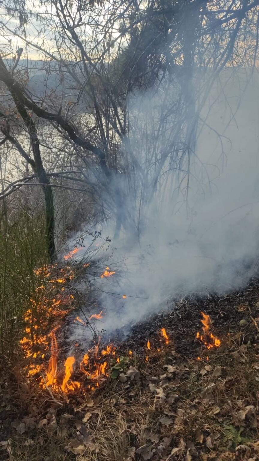 Incendio bosco Vigano 1 gennaio 2025