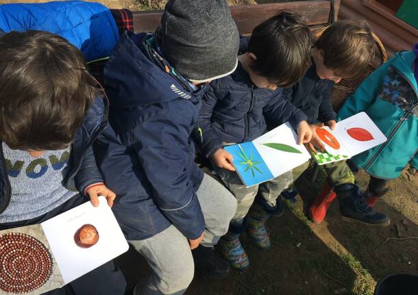 La scuola dell’infanzia paritaria A.M. e G.B. Baroffio Dall’Aglio di Lissago