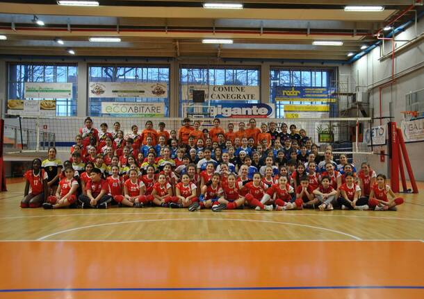 pallavolo canegrate