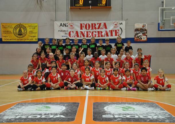 pallavolo canegrate