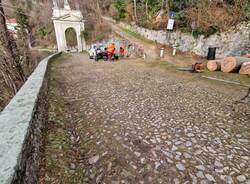 Rimosso l'albero caduto che bloccava la salita al sacro Monte