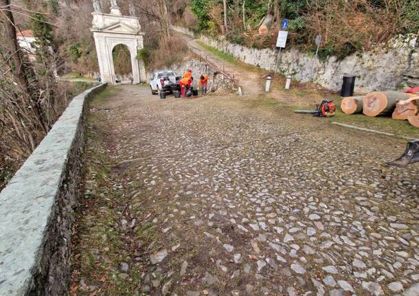 Rimosso l’albero caduto sulla salita del sacro Monte