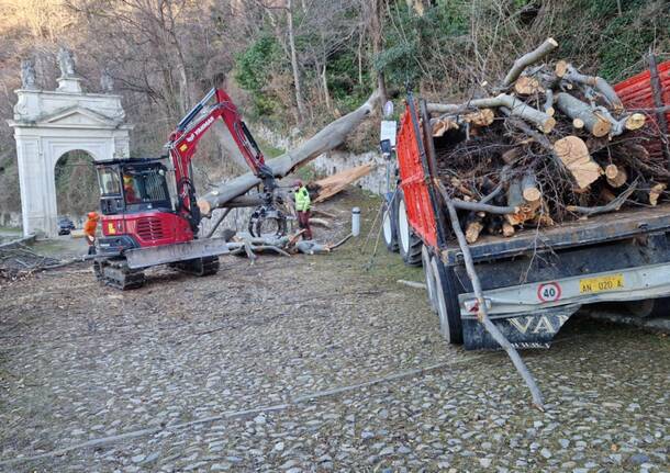 Rimosso l’albero caduto sulla salita del sacro Monte