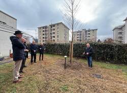 Saronno - Nuove piante al centro diurno disabili