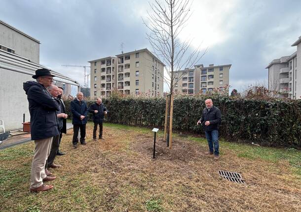 Nuove piante nel giardino del Centro diurno disabili di Saronno – Le foto