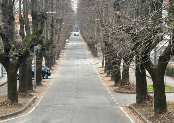 viale dei tigli Gallarate