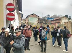 corte bassani studenti politecnico albizzate