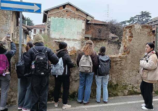 corte bassani studenti politecnico albizzate