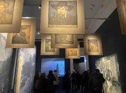 La mostra "Picasso lo straniero" a Milano chiude con 115.000 visitatori