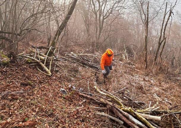 Lavori forestali sul Campo dei Fiori