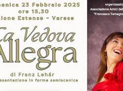 operetta la vedova allegra