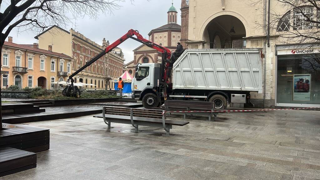 Piante tulipani in piazza San Magno a Legnano 