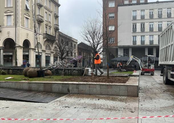 Lavori in corso in piazza San Magno per gli alberi dei tulipani