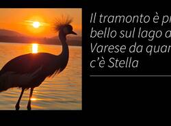 Tramonto con Stella