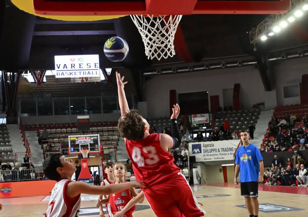 Memorial Bruno Arena, grande festa per la finale del torneo di minibasket