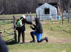 Le immagini dell'Ibex run trail al Parco Pineta