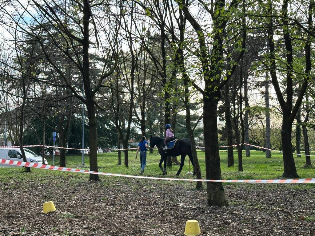 Legnano: Giornata Medievale 