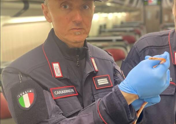 Serpente in treno