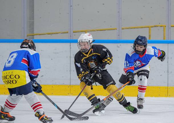 torneo hockey under 12 2025
