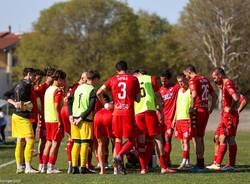 calcio varese chieri