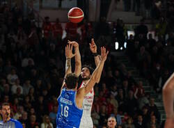 davide alviti