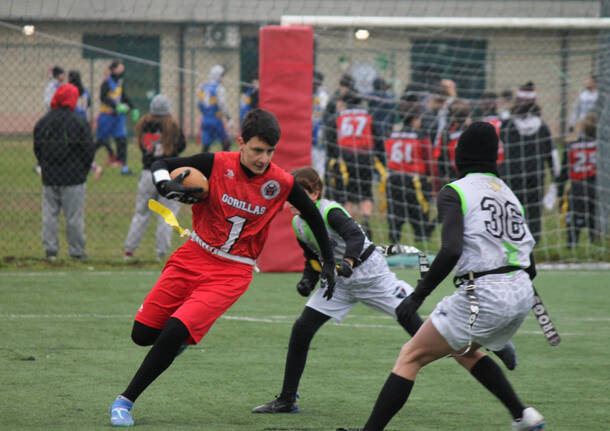 flag football gorillas varese