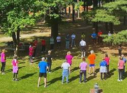 ginnastica nel bosco