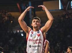 matteo librizzi basket 