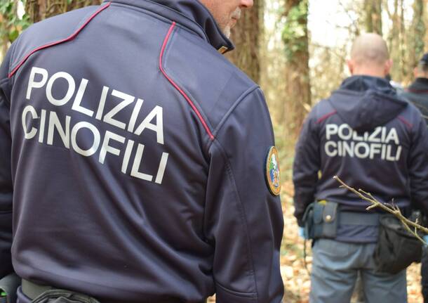 operazione antidroga parco pineta