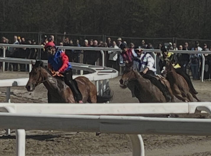 Palio di Legnano, corse addestramento 6 aprile 2025