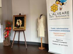 Restauro Alveare di Buguggiate