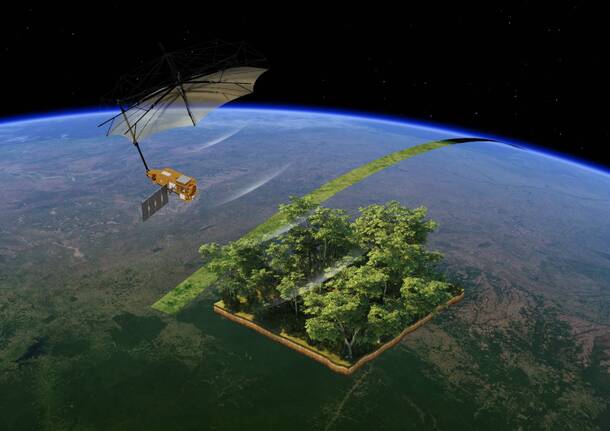 satellite biomass nerviano leonardo