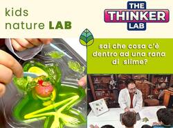 The thinker lab